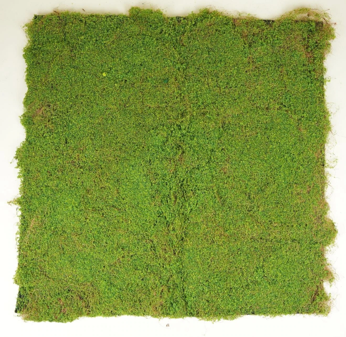 Moss Mat with Natural Jute 100x100cm
